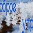 Доброе утро! - Газета Авангард