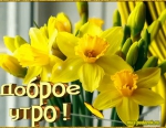 Доброе утро!