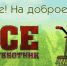 181798 - Администрация г. Вичуга