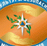 87984 - Администрация г. Вичуга