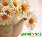 Доброе утро!