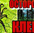 Что делать, если ребёнка укусил клещ? (родителям на заметку) - ОБУЗ Вичугская ЦРБ