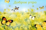 Доброе утро!