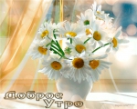 Доброе утро!