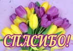 СПАСИБО!