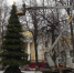 В ВИЧУГЕ ОДНОВРЕМЕННО ЗАЖГУТСЯ ТРИ ГОРОДСКИЕ ЕЛКИ - Вичугские новости