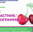ВЗНОСЫ ПО ПРОГРАММЕ СОФИНАНСИРОВАНИЯ ПЕНСИИ МОЖНО ПЕРЕЧИСЛИТЬ ДО КОНЦА ГОДА - Вичугские новости