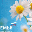 8 июля - День семьи, любви и верности - Администрация