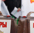 ГОСДУМА ПРИНЯЛА ЗАКОН О ТРЕХДНЕВНОМ ГОЛОСОВАНИИ НА ВЫБОРАХ И РЕФЕРЕНДУМАХ - Вичугские новости
