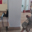 Выезды мобильных бригад по оказанию помощи гражданам по идентификации социальных карт - Городской округ Вичуга