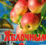Сотрудники центральной библиотеки МБУК «Централизованная библиотечная система» г. Вичуга провели с жителями города веселую познавательную викторину «Яблоки знаний из библиотеки» - Отдел культуры