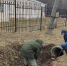 Субботник - Художественный музей