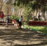 7 05 22 1 - Городская Дума