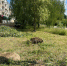 О работах по благоустройству городской территории - Городской округ Вичуга