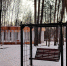 ВИЧУГА ВОШЛА В ЧИСЛО ГОРОДОВ С БЛАГОПРИЯТНОЙ ГОРОДСКОЙ СРЕДОЙ - Вичугские новости