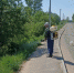 Обработка от борщевика - Городской округ Вичуга