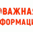 На многих контейнерных площадках для твердых коммунальных отходов (ТКО) и вблизи них вновь наблюдается массовое складирование растительных и строительных отходов. - Городской округ Вичуга
