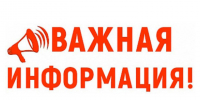 На многих контейнерных площадках для твердых коммунальных отходов (ТКО) и вблизи них вновь наблюдается массовое складирование растительных и строительных отходов. - Городской округ Вичуга