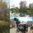 Подведены итоги фотоконкурса «Наша Вичуга живет и красуется» - Отдел культуры