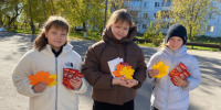 В Вичугском районе прошла акция ко Дню пожилого человека «Кленовый листок!». - Администрация района