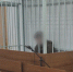 10 ЛЕТ ЛИШЕНИЯ СВОБОДЫ ПОЛУЧИЛ 19-ЛЕТНИЙ ИВАНОВЕЦ ЗА ФИНАНСИРОВАНИЕ И ПУБЛИЧНОЕ ОПРАВДАНИЕ ТЕРРОРИЗМА - Вичугские новости