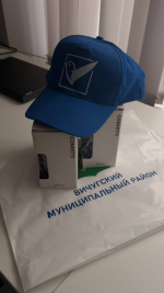 День молодого избирателя: как школьники Вичугского округа учились властвовать.