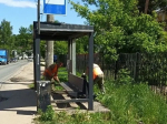 В ГОРОДЕ ПРОДОЛЖАЮТСЯ РАБОТЫ ПО БЛАГОУСТРОЙСТВУ.