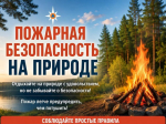 Пожарная безопасность на природе — ответственность каждого!.