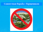 Совместная борьба с борщевиком.
